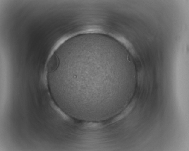 X0000113641374200909251232