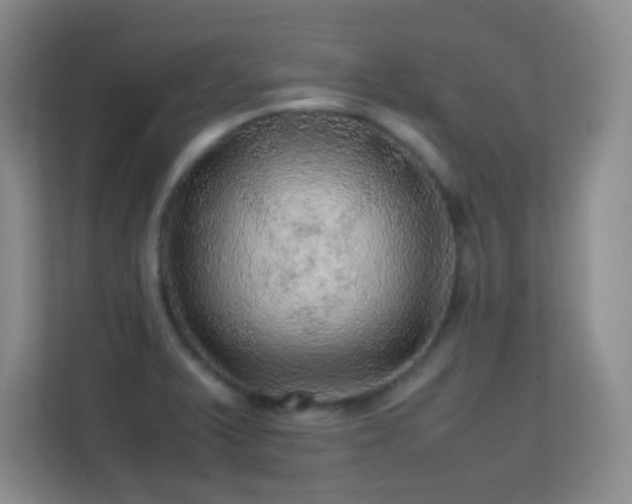 X0000113641375200909251232