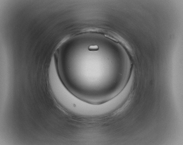 X0000113641377200909251232