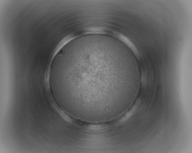 X0000113641378200909251232