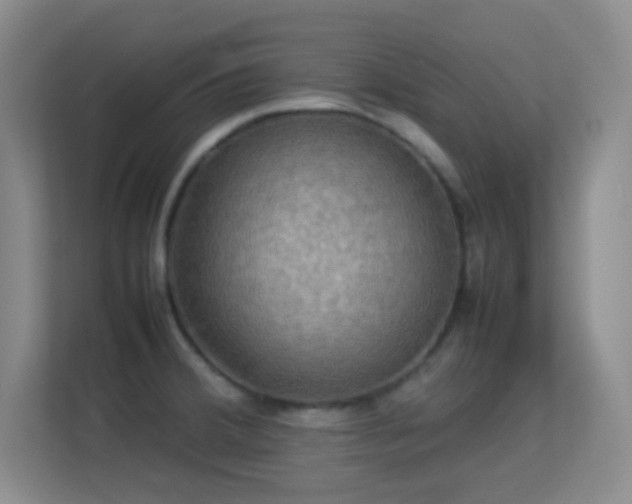 X0000113641380200909251232