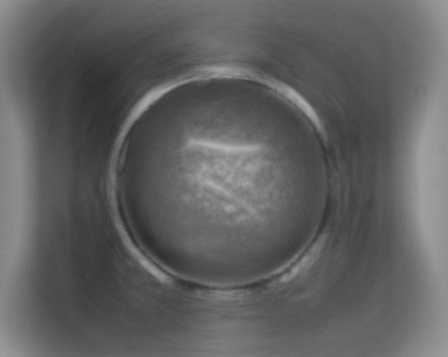 X0000113641381200909251232