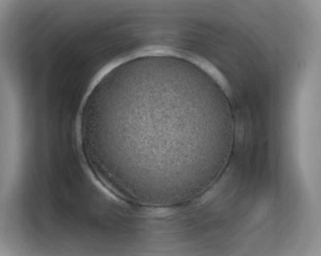 X0000113641382200909251232