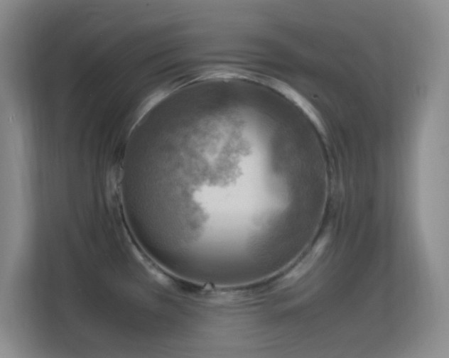 X0000113641385200909251232