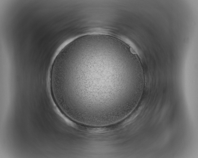 X0000113641387200909251232