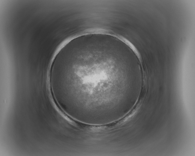 X0000113641389200909251232