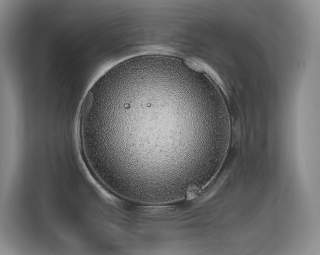 X0000113641391200909251232