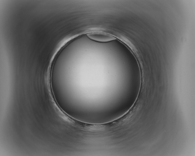 X0000113641392200909251232