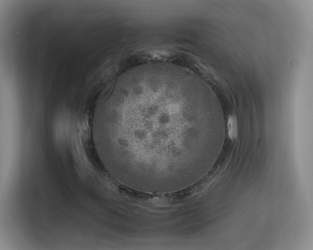 X0000113641395200909251231