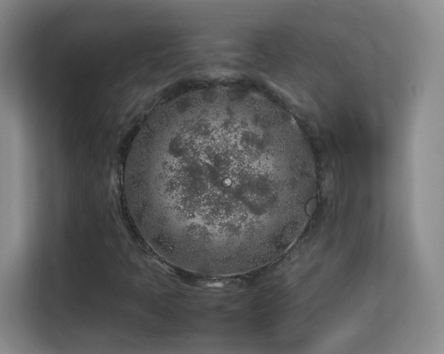 X0000113641397200909251231