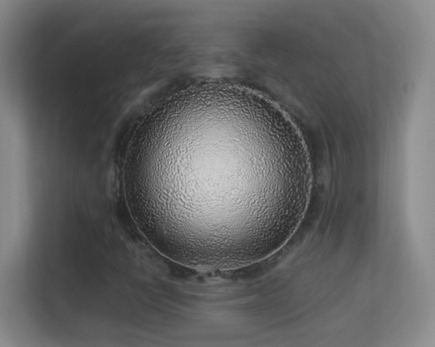 X0000113641398200909251231