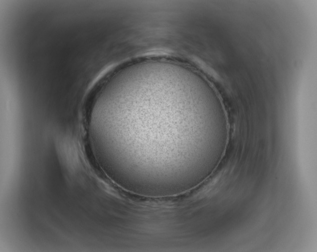 X0000113641400200909251231