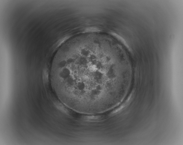 X0000113641401200909251231