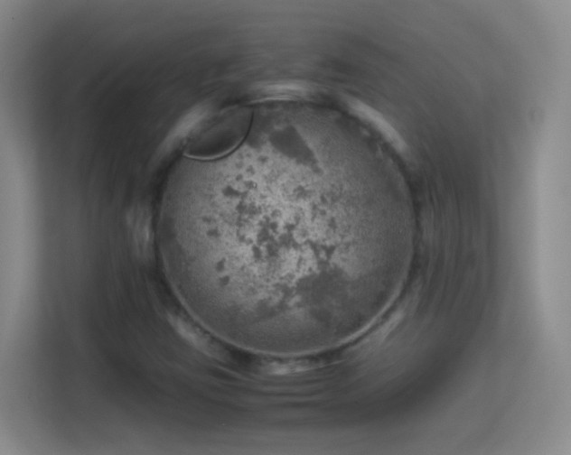 X0000113641403200909251231