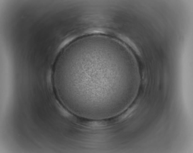 X0000113641404200909251231