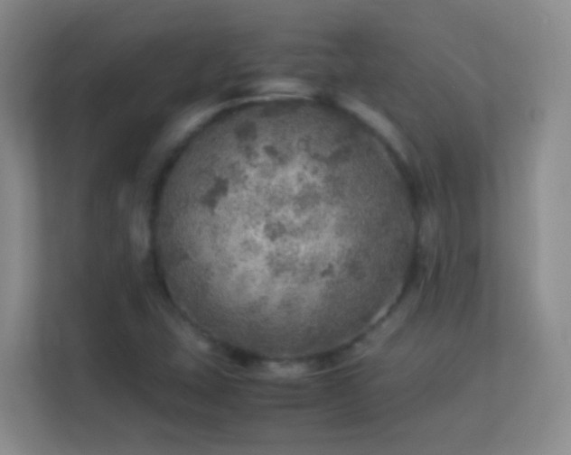 X0000113641407200909251231