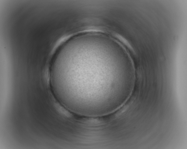 X0000113641408200909251231