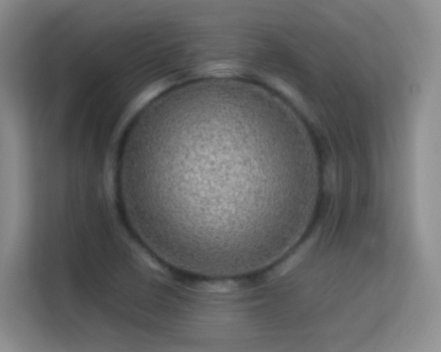 X0000113641410200909251231