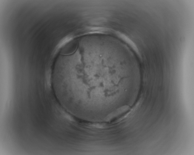 X0000113641411200909251231