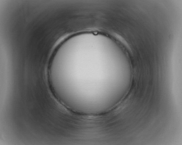 X0000113641412200909251231