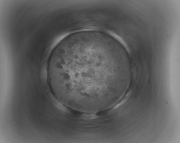 X0000113641415200909251232