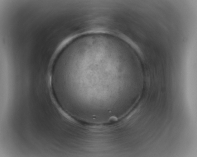 X0000113641416200909251232