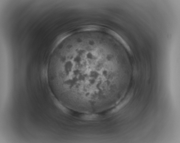 X0000113641417200909251232