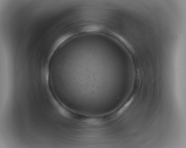 X0000113641418200909251232