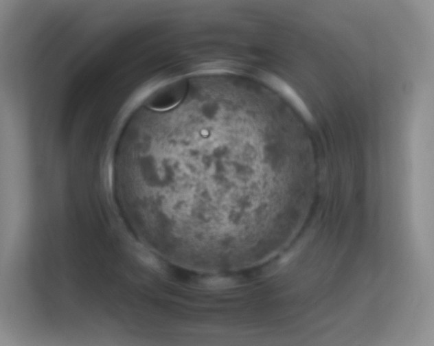 X0000113641419200909251232