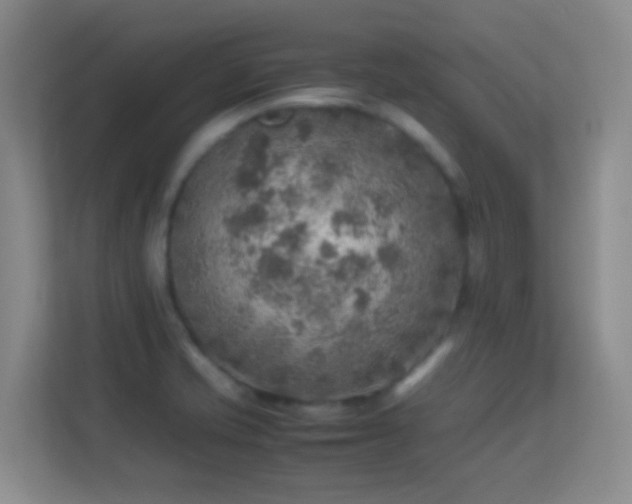 X0000113641421200909251232