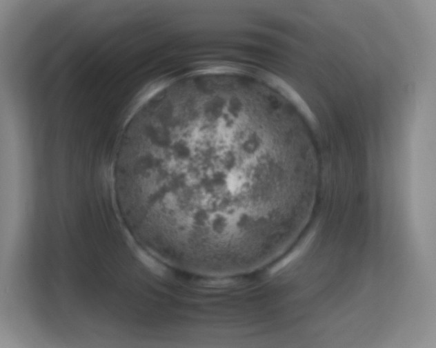 X0000113641425200909251232