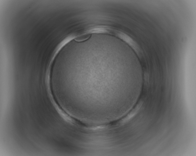 X0000113641426200909251232