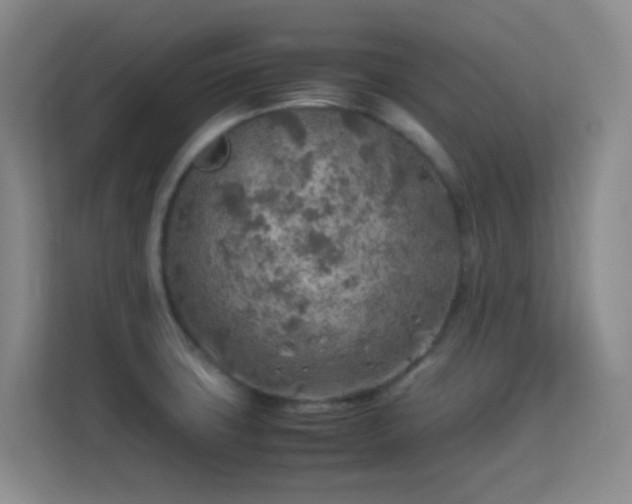 X0000113641427200909251232