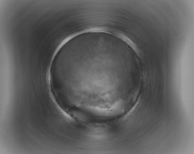 X0000113641428200909251232