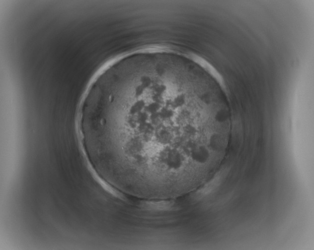 X0000113641429200909251232