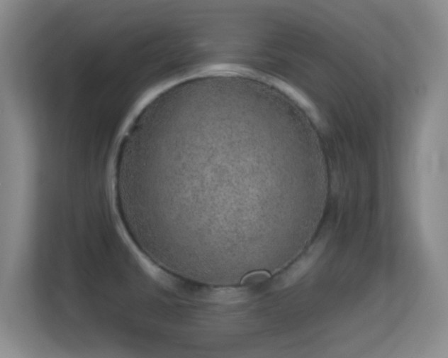 X0000113641430200909251232