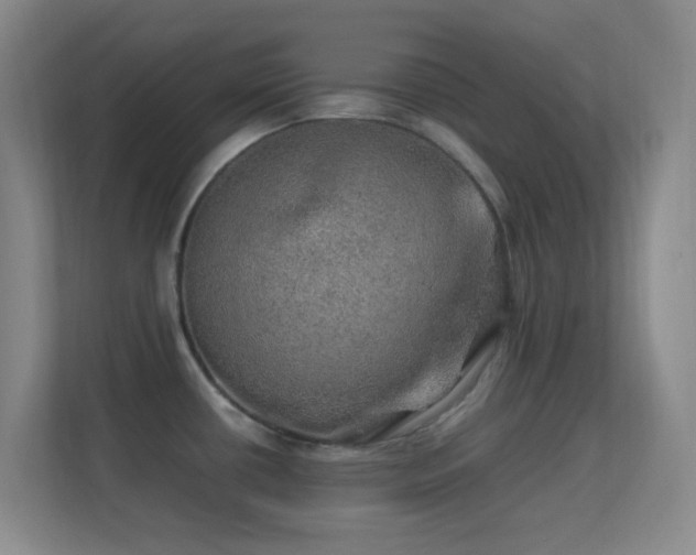 X0000113641434200909251232