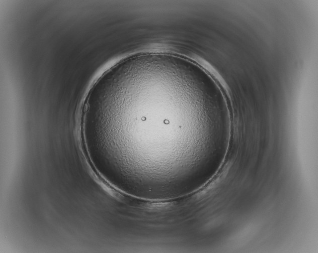 X0000113641437200909251232