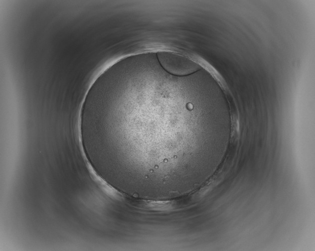 X0000113641439200909251232