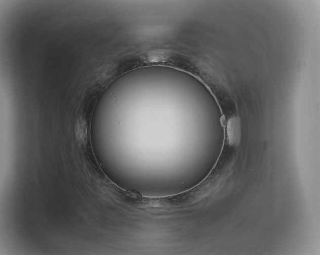 X0000113641443200909251231