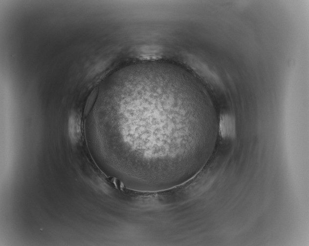 X0000113641444200909251231