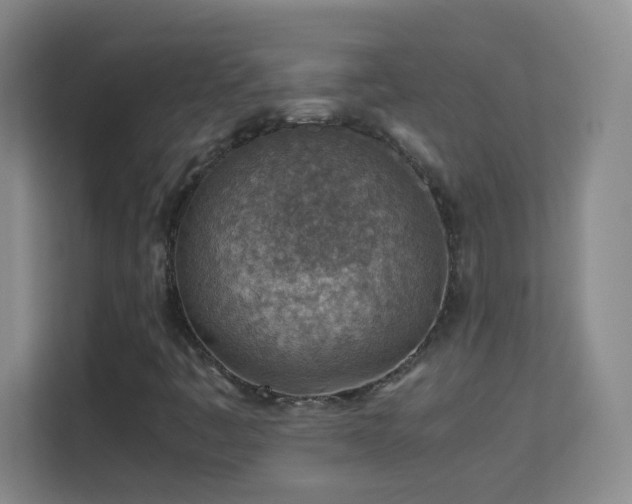 X0000113641445200909251231