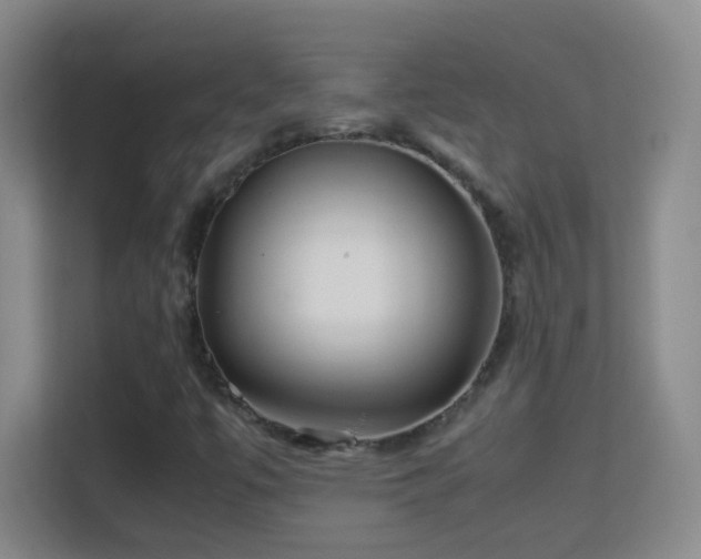 X0000113641447200909251231