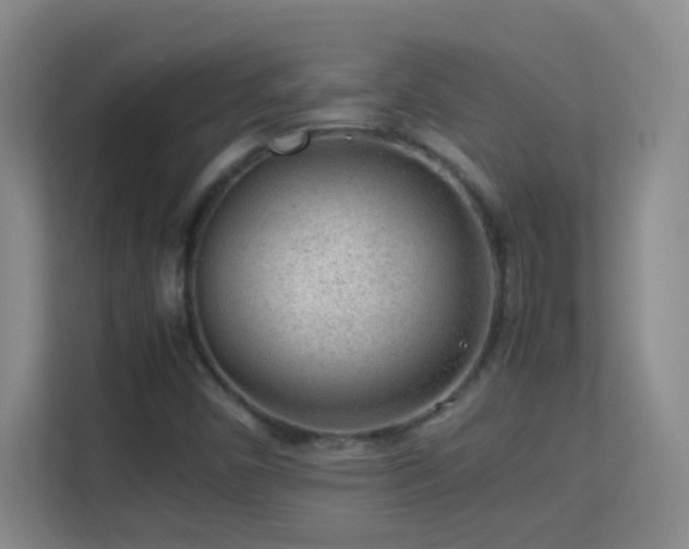 X0000113641450200909251231