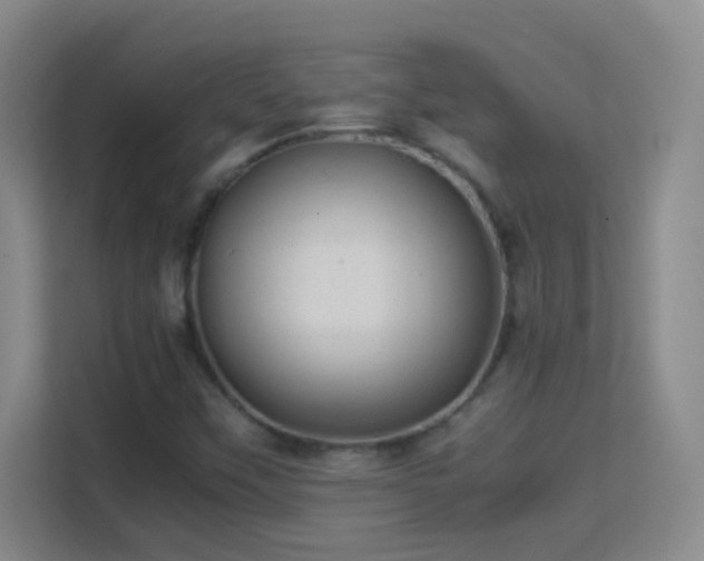 X0000113641451200909251231