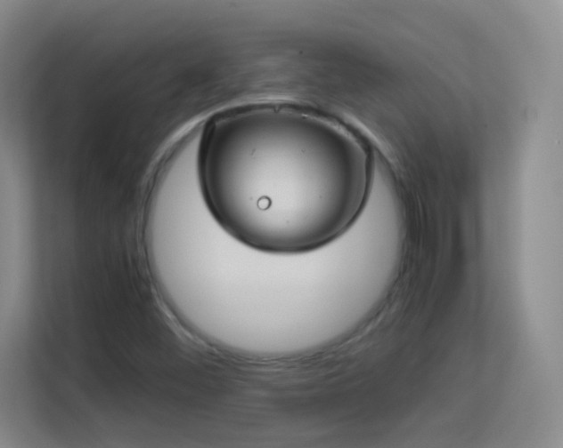 X0000113641452200909251231