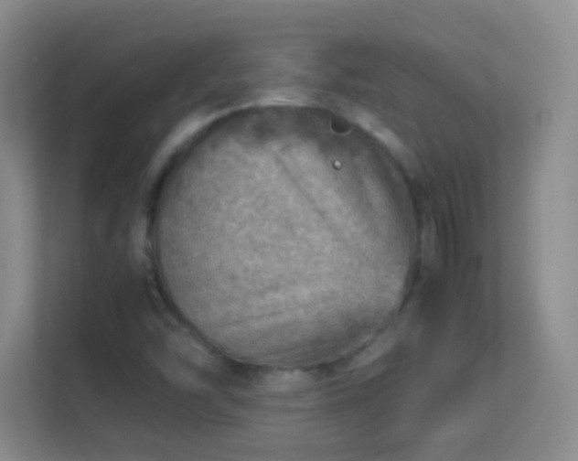 X0000113641454200909251231