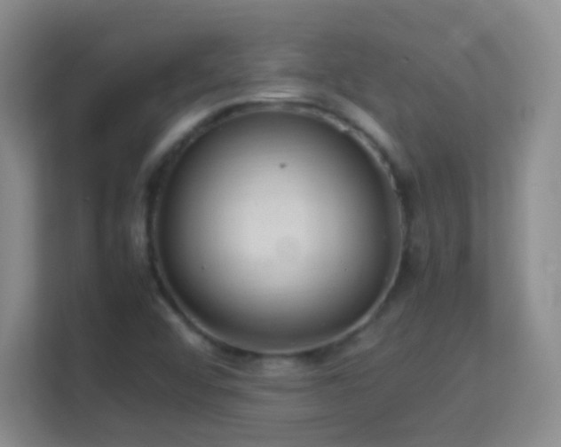 X0000113641456200909251231