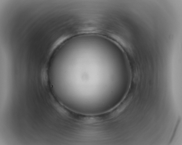 X0000113641458200909251231