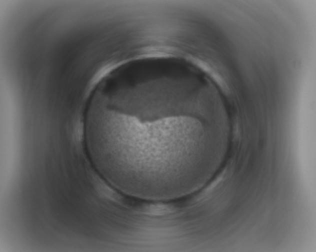 X0000113641459200909251231